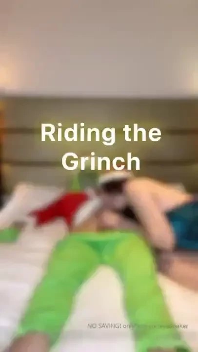 Christmas sale how the grinch stole christm ass - i definitely made 