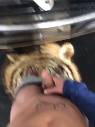 Horny af making food before the gym 