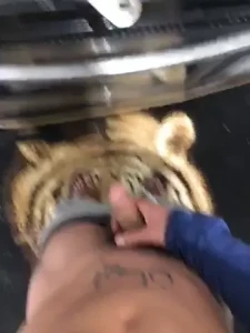 Horny af making food before the gym