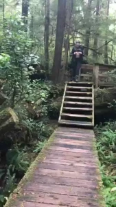 When you re out walking through the forest there is only one thing to