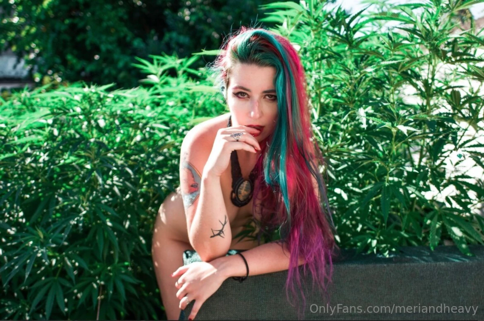 Meriandheavy1 part 3062822 