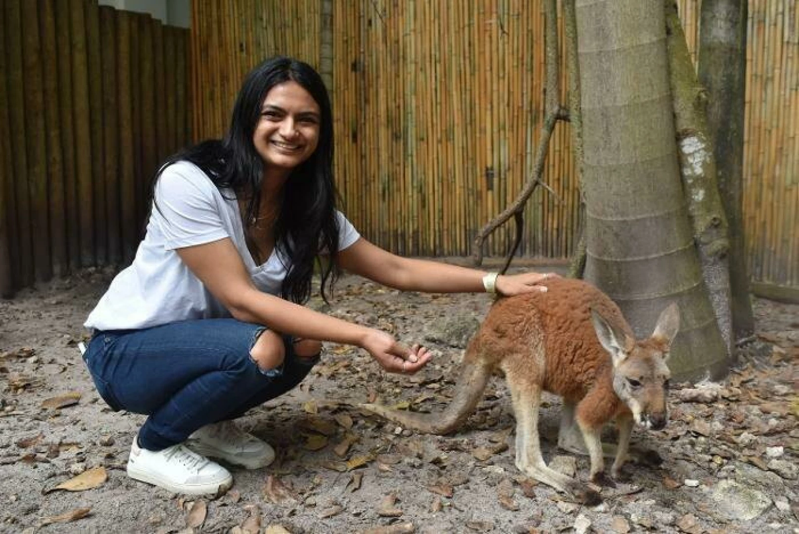 Making some new friends 