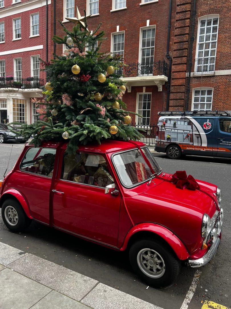 Here for the early holiday vibes 