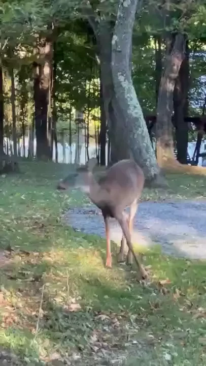 Taking some time to be in nature 