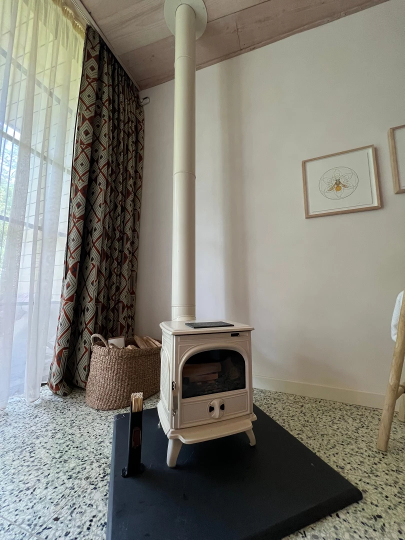 Kind of obsessed with this indoor fireplace that is only practical 