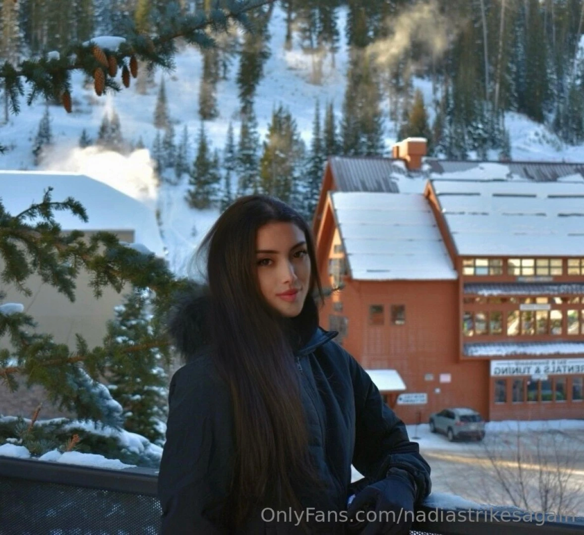 Frolicking and playing what are you up to this christmas eve 