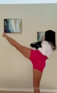How to execute a proper round kick the first step is to make sure that