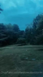 Dusk in the wilderness