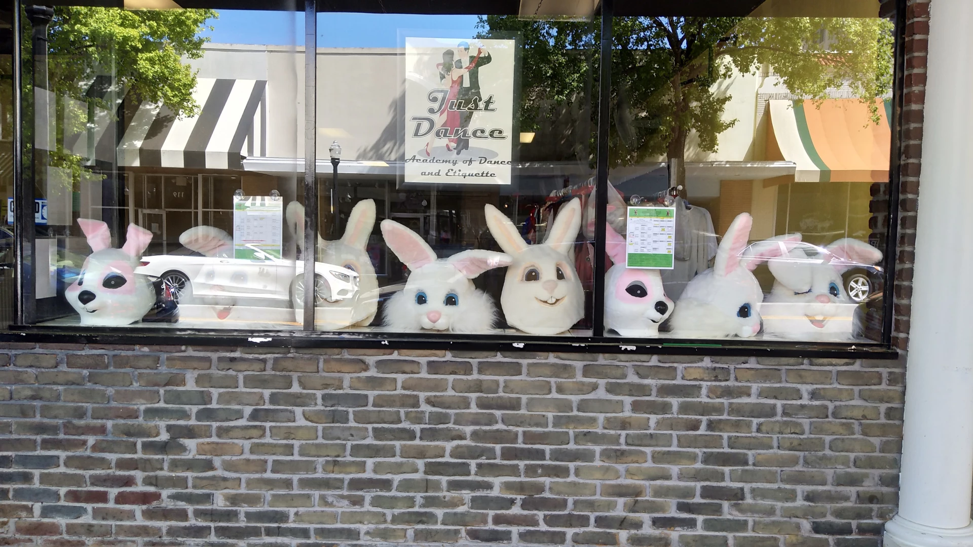 anniebody - Look it s the bunny shop must be a dr bill project for sure part 2 