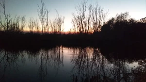 Watching the sun setting through the trees and the water rippling from