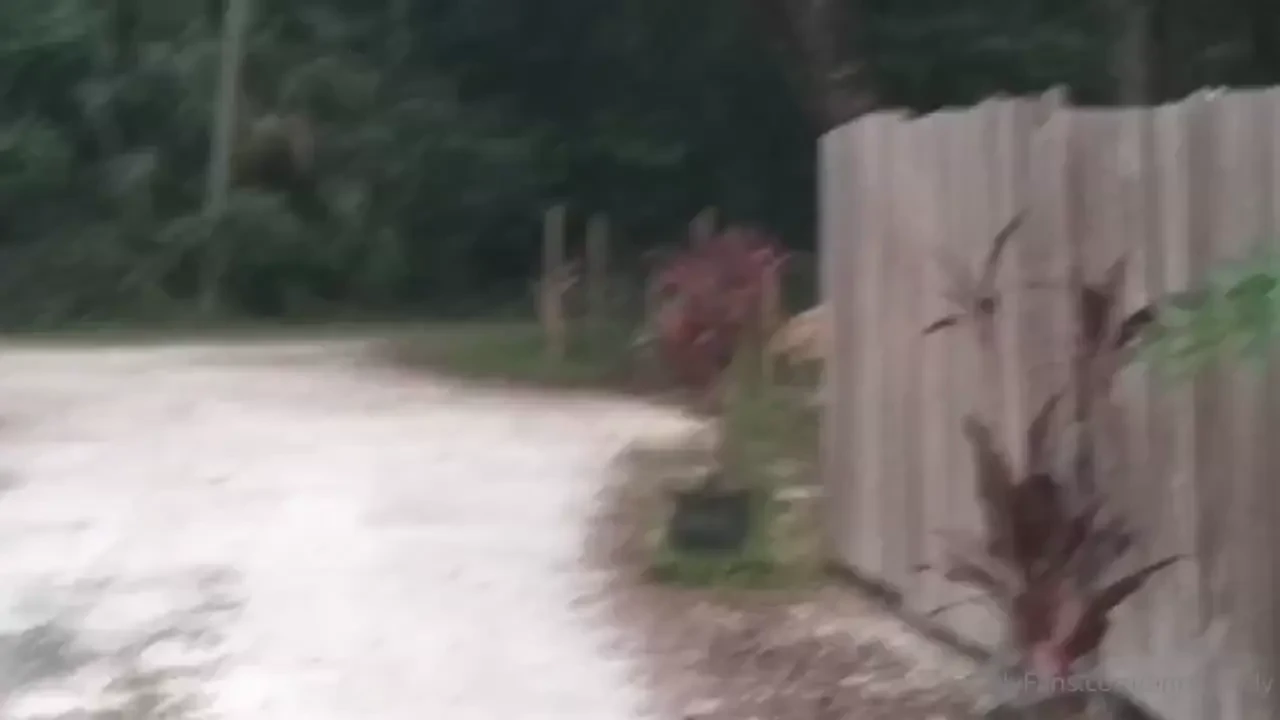 Just out the back gate wheretheyoungbucksplay out on youngbuckcrossing part 1 