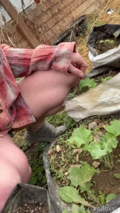 378727936250880000 - My kale is looking pretty good outside outdoor redhead gardening 