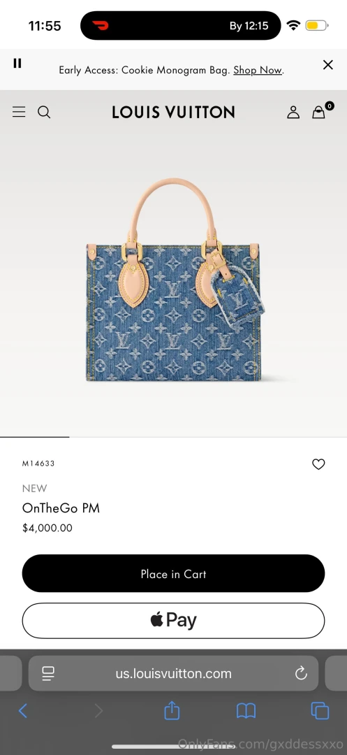 I really want to treat myself to this purse baby but i need your help 