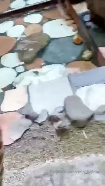 A little tease video from the days going out to restaurants was still 