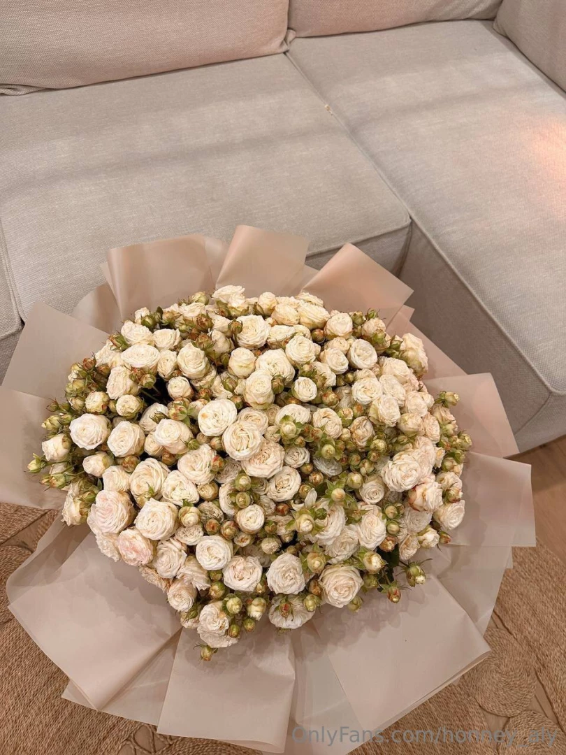 Honney_aly part 3169470 