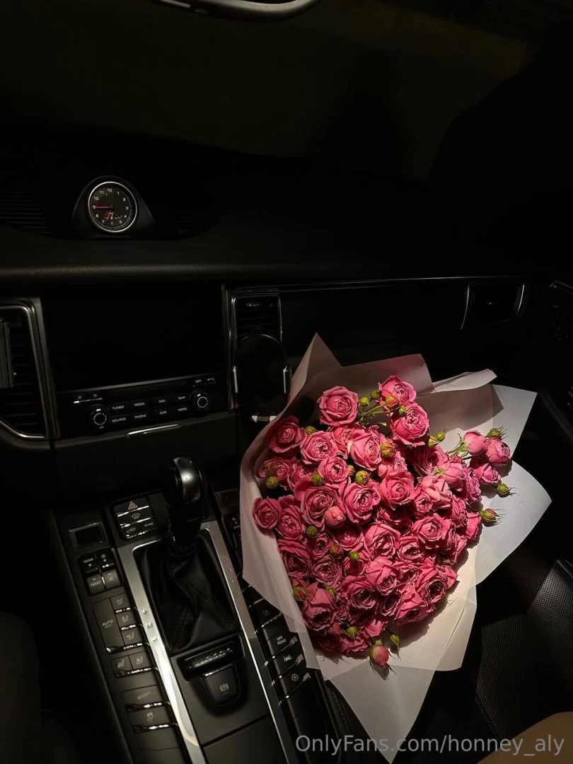 Honney_aly1 part 3169487 