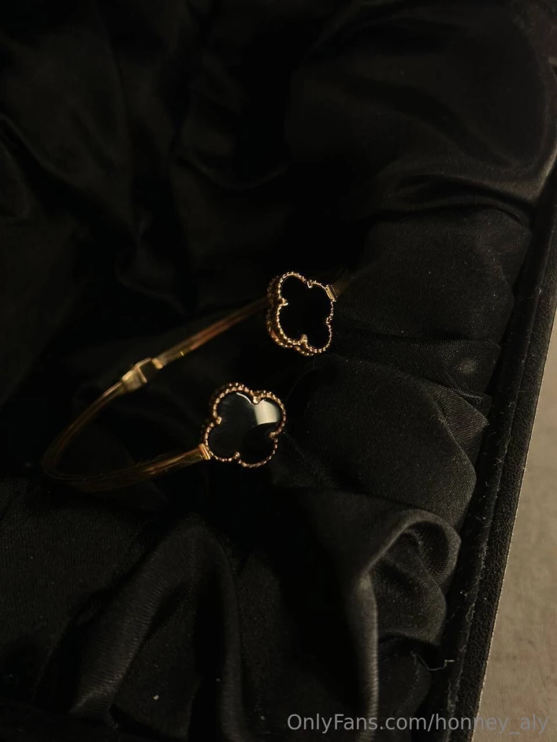 Honney_aly1 part 3169488 