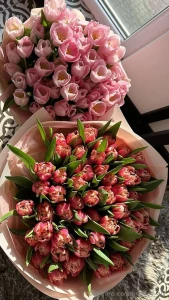 Like flowers we bloom in our own time with a little light a little