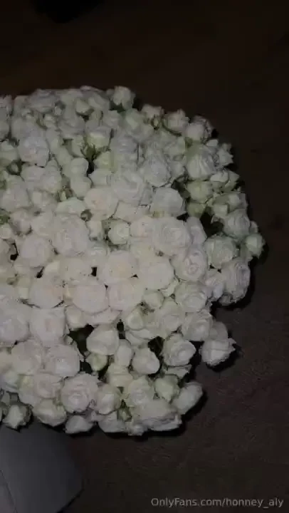 Hey there just wanted to share how much i adore flowers they re like a 