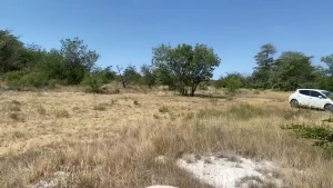 Slowmo 1 do u like this kind of videos