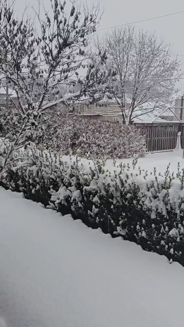 White stuff makes me happy 