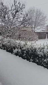 White stuff makes me happy