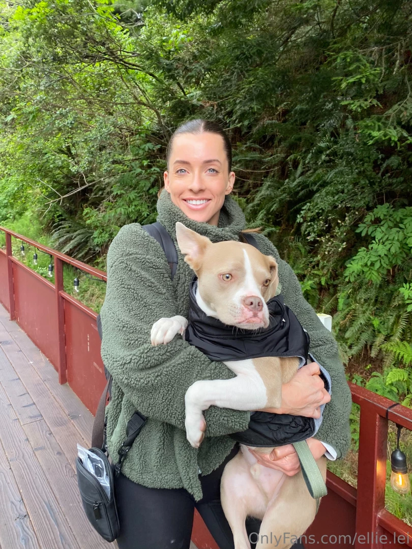 10 10 recommend you visit the redwoods 