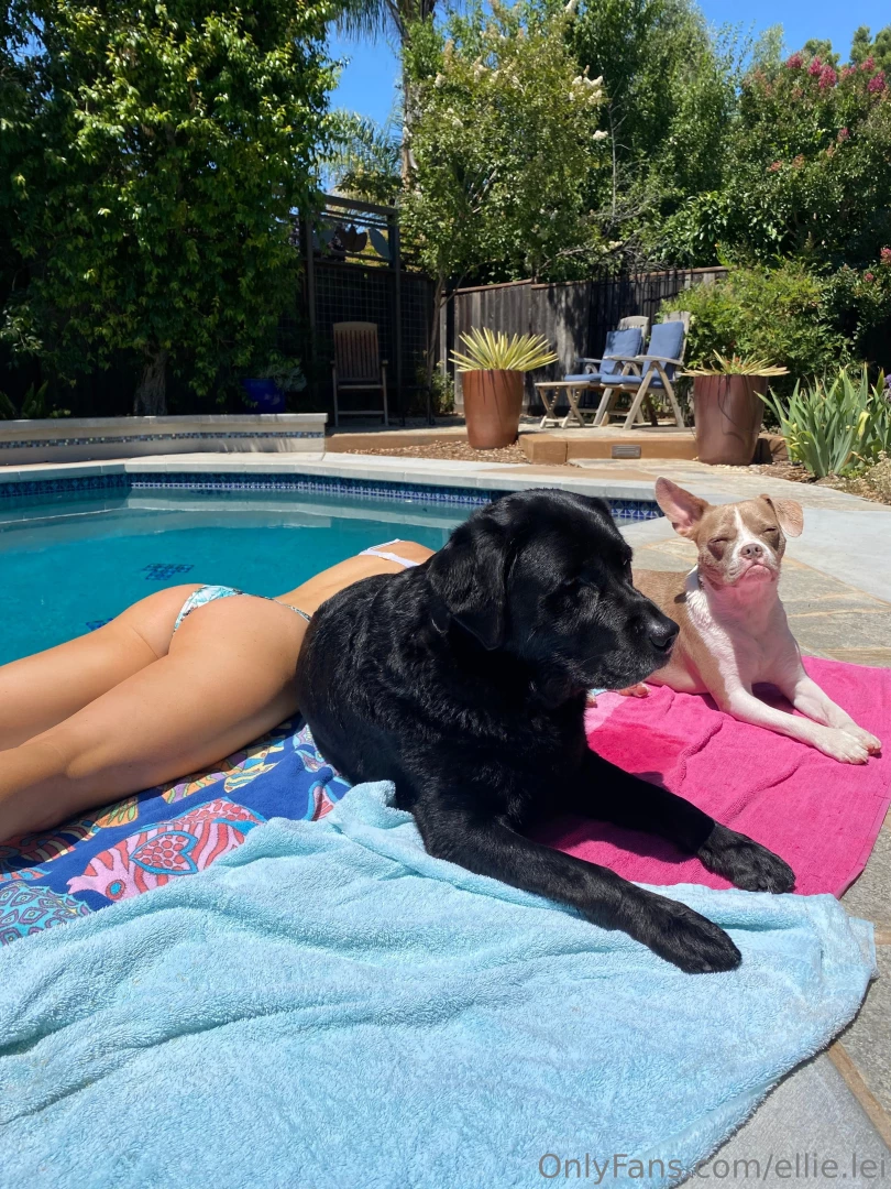 This is what my happy place looks like 