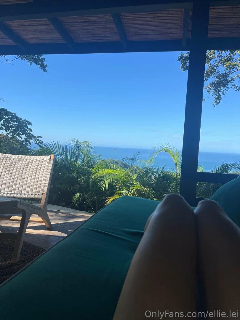 Every morning i sit on this patio and look for monkeys 