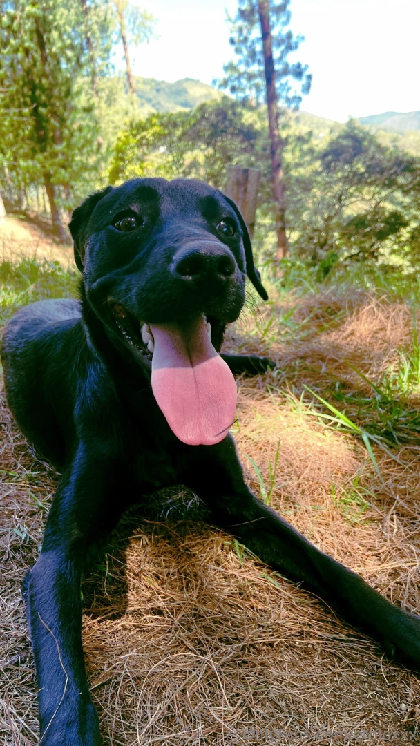 Hola tu me extra abas part 2 