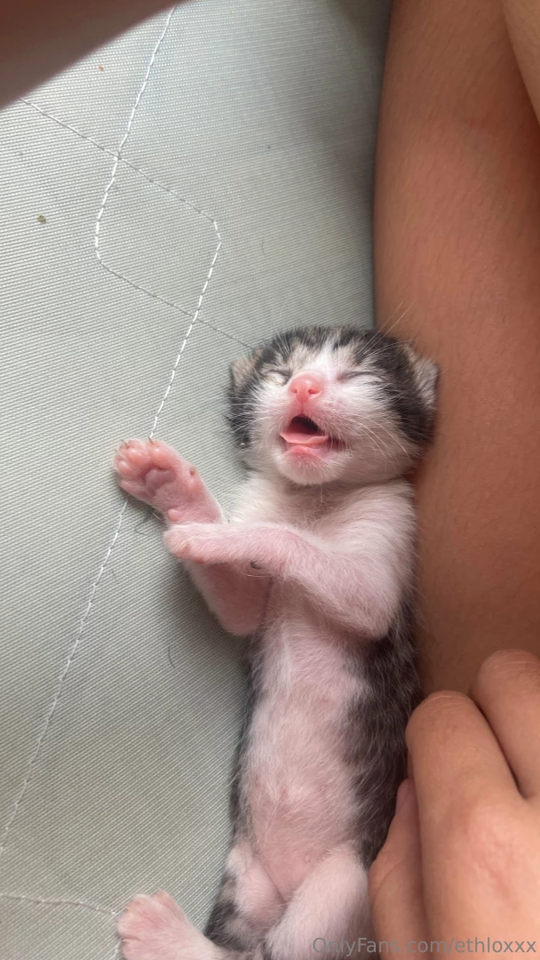 Los amo tanto part 1 