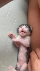 Los amo tanto part 1