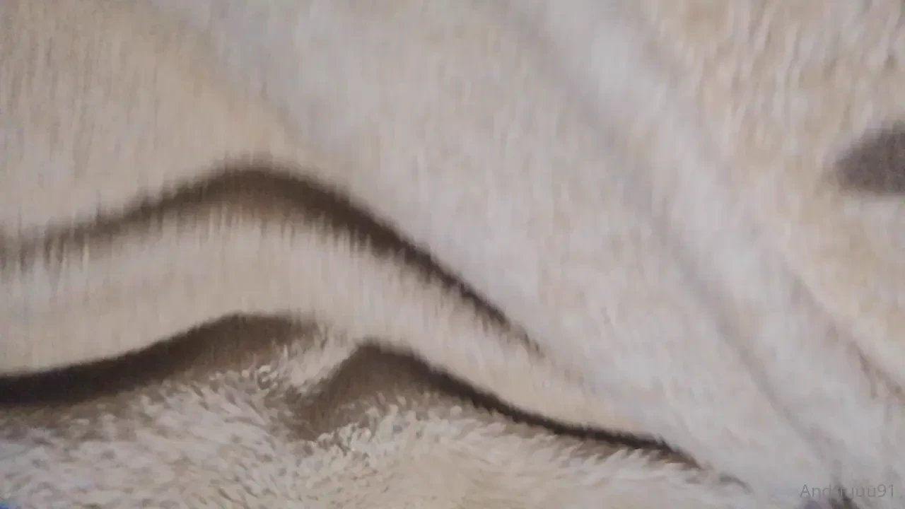 Estaba bien caliente y me dieron muchas ganas de masturbarme solo con 