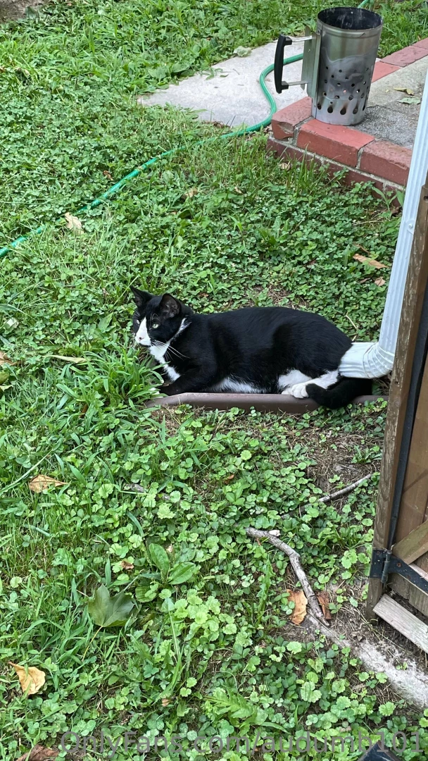 Chillin in my tiny pool scroll to the end for a surprise part 7 