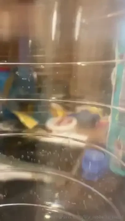 I call tonight s recorded moon lighting sessions _ icicles falling _ 