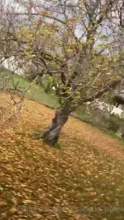 Spooky scaries part 1 