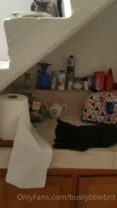 Currently doing a cat sit on a greek island i have 13 cats yes 13 to