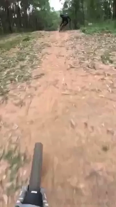 The most fun section in downhill following the goat 
