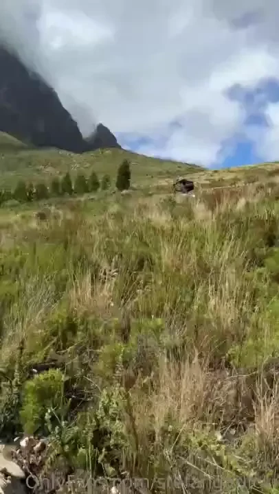 P2 yesterday at 3rd round of the south african national downhill part 1 