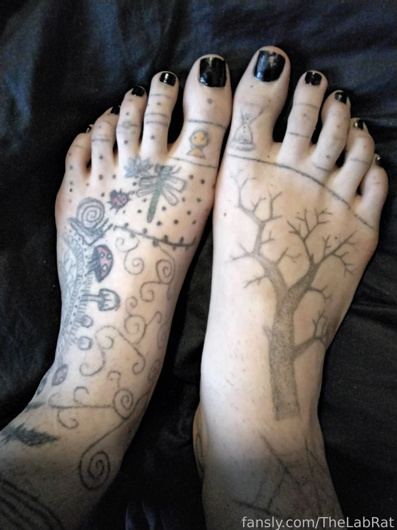 334448810585501696 part 1136 