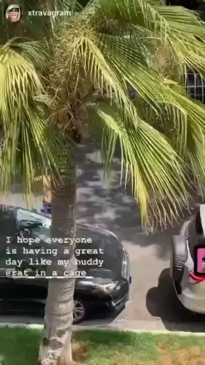 An eventful day part 7 