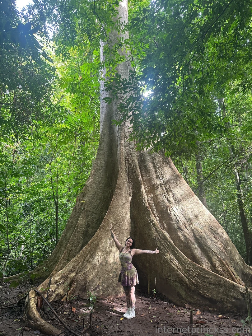 Oh ya know nothing much just me and a 200 year old tree he reminds me 
