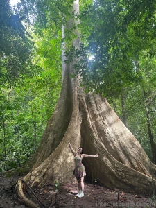 Oh ya know nothing much just me and a 200 year old tree he reminds me