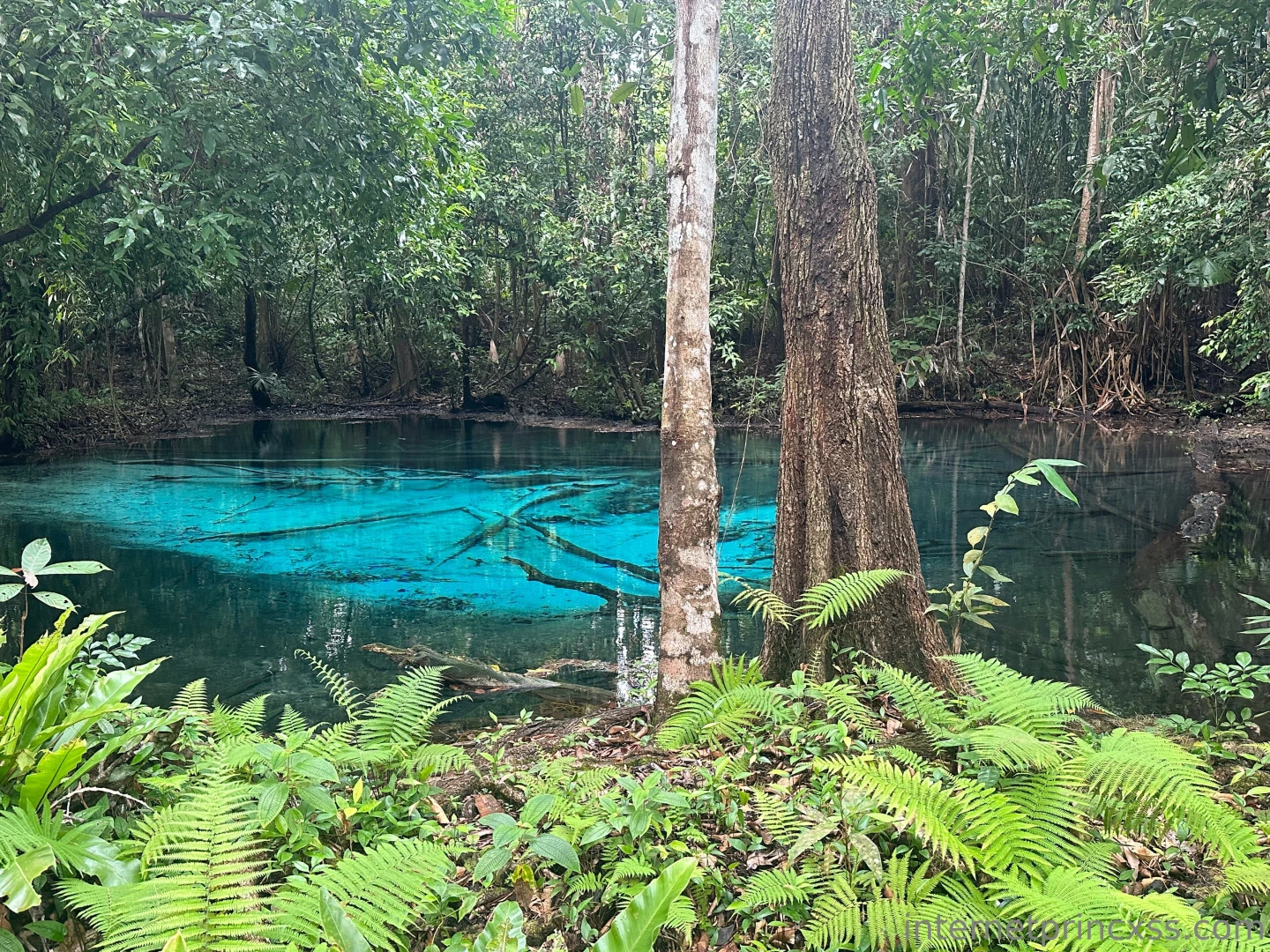 This was a natural hot springs we found on our hike called the blue 