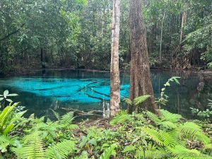 This was a natural hot springs we found on our hike called the blue