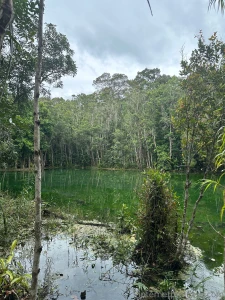 The emerald pool if you fell into this what powers do you think it