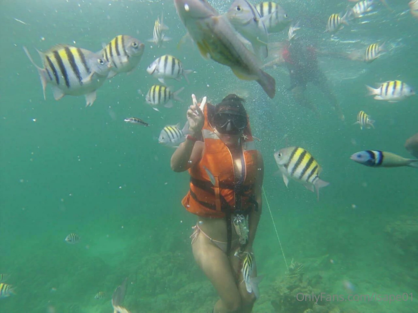 Islands of baru colombia 