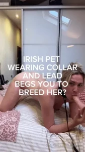 Irish pet begs you to breed her wearing my collar and lead i beg for