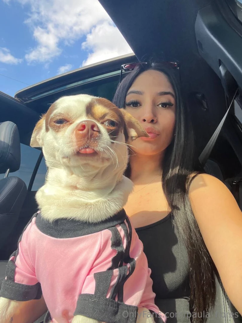 I almost always take my dogs with me except i can t take them on long 