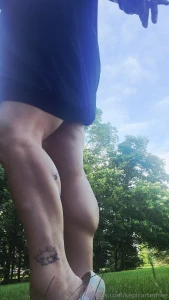 Calves in the yard 1 min